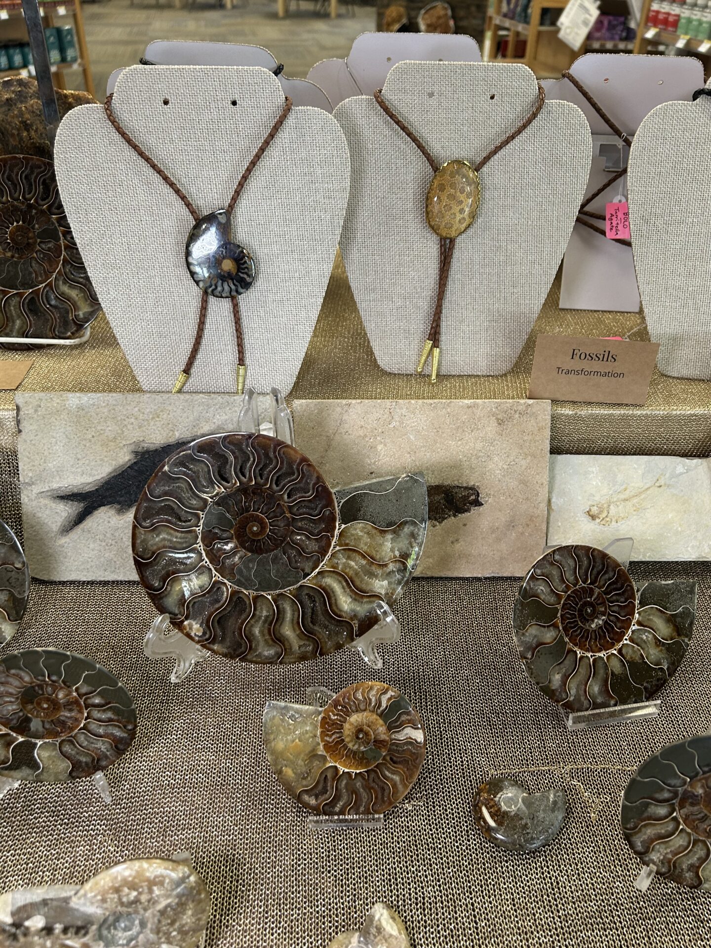 A table with fossil pieces. Some shells, necklaces, smaller stones. On a brown tablecloth.